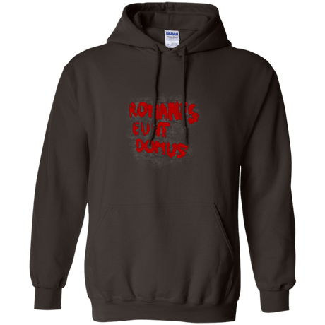 Sweatshirts Dark Chocolate / Small Romanes eunt Pullover Hoodie