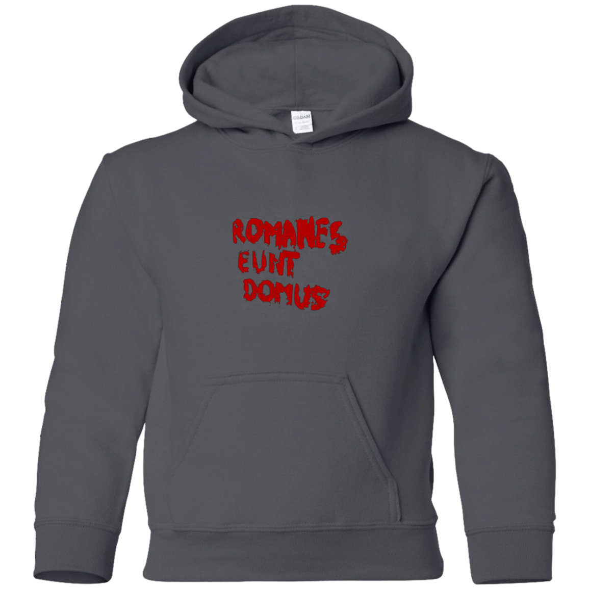 Sweatshirts Charcoal / YS Romanes eunt Youth Hoodie