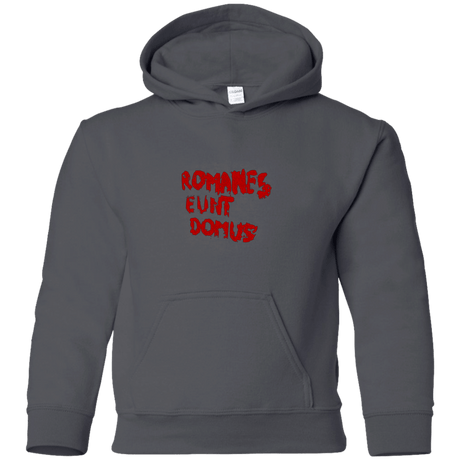 Sweatshirts Charcoal / YS Romanes eunt Youth Hoodie