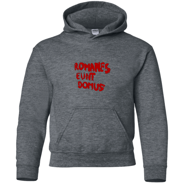Sweatshirts Dark Heather / YS Romanes eunt Youth Hoodie