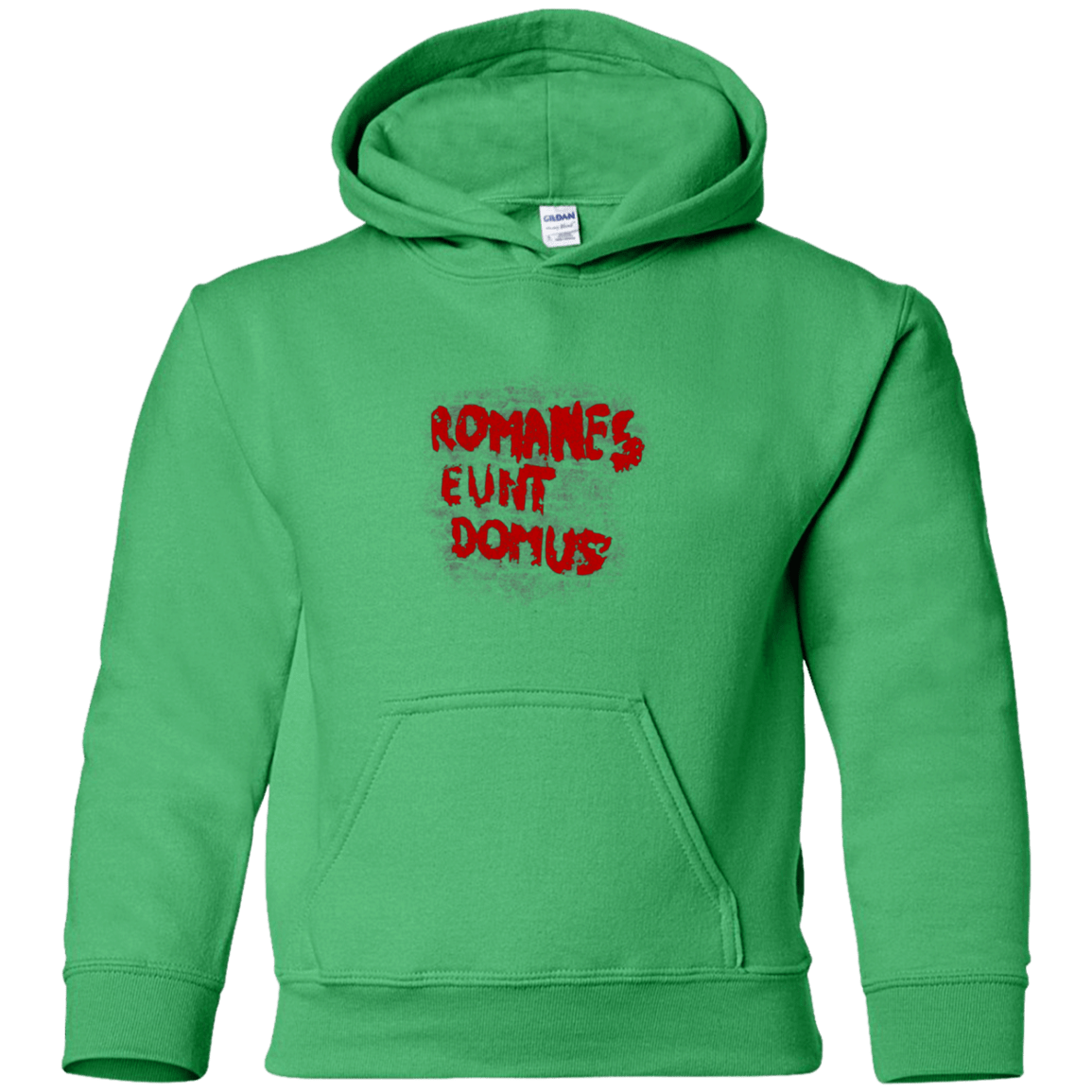 Sweatshirts Irish Green / YS Romanes eunt Youth Hoodie