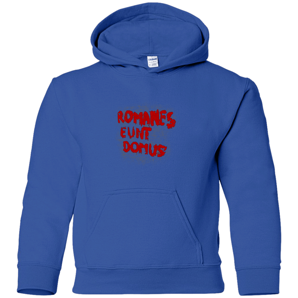 Sweatshirts Royal / YS Romanes eunt Youth Hoodie