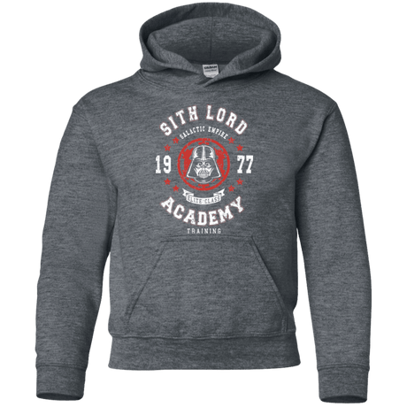 Sweatshirts Dark Heather / YS Sith Lord Academy 77 Youth Hoodie