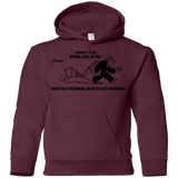 Sweatshirts Maroon / YS Special Level of Hell Youth Hoodie