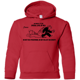 Sweatshirts Red / YS Special Level of Hell Youth Hoodie