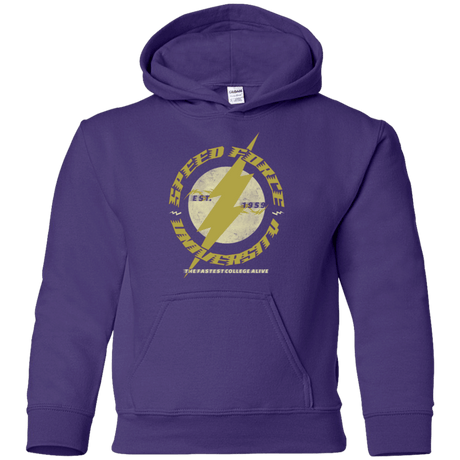 Sweatshirts Purple / YS Speed Force University Youth Hoodie