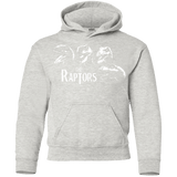 Sweatshirts Ash / YS The Raptors Youth Hoodie