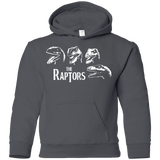 Sweatshirts Charcoal / YS The Raptors Youth Hoodie