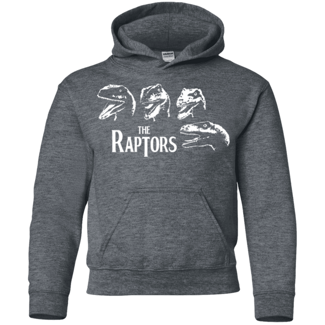 Sweatshirts Dark Heather / YS The Raptors Youth Hoodie