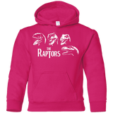 Sweatshirts Heliconia / YS The Raptors Youth Hoodie