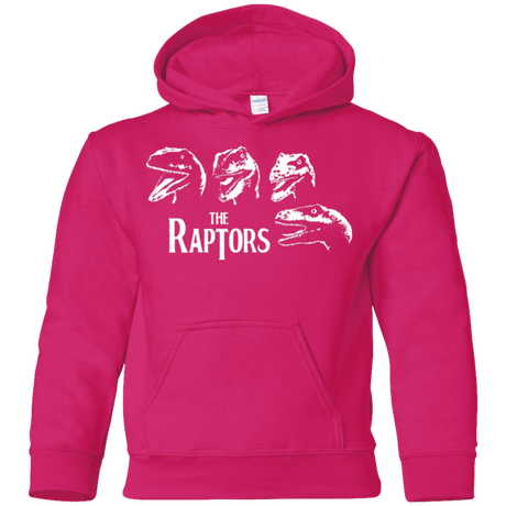 Sweatshirts Heliconia / YS The Raptors Youth Hoodie