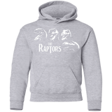 Sweatshirts Sport Grey / YS The Raptors Youth Hoodie