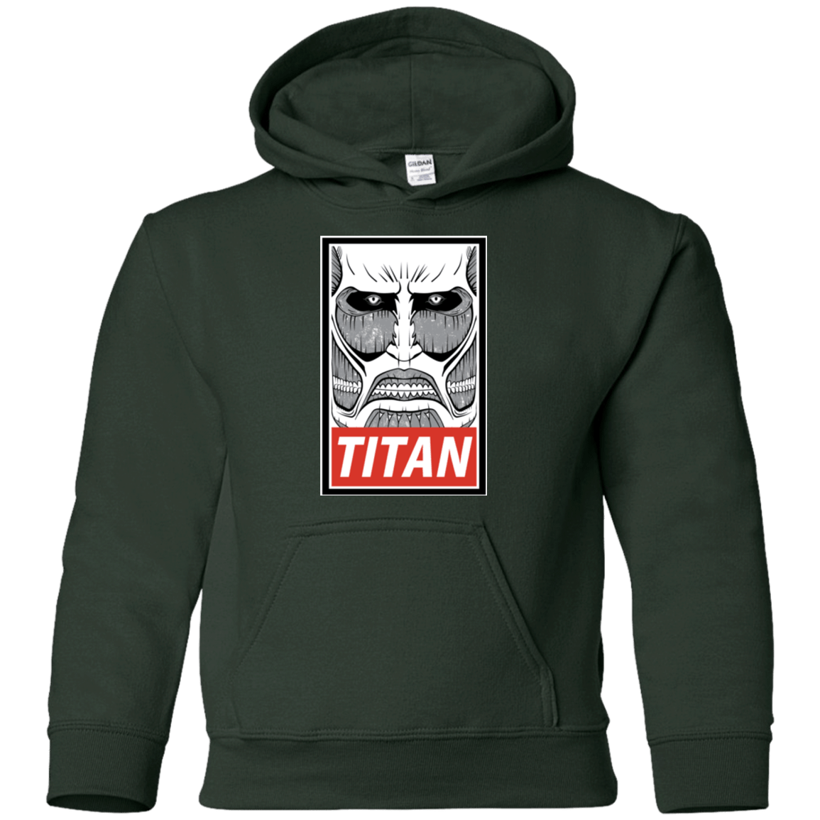 Sweatshirts Forest Green / YS Titan Youth Hoodie