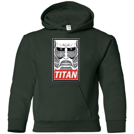 Sweatshirts Forest Green / YS Titan Youth Hoodie