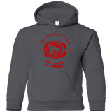 Sweatshirts Charcoal / YS Tyrannosaurus Youth Hoodie