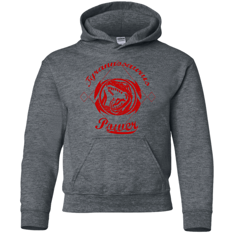 Sweatshirts Dark Heather / YS Tyrannosaurus Youth Hoodie