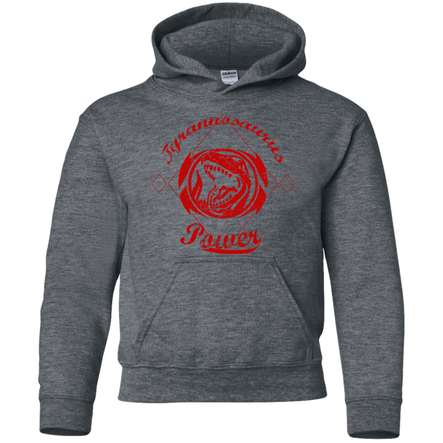 Sweatshirts Dark Heather / YS Tyrannosaurus Youth Hoodie