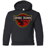Sweatshirts Black / YS Upside Down Youth Hoodie