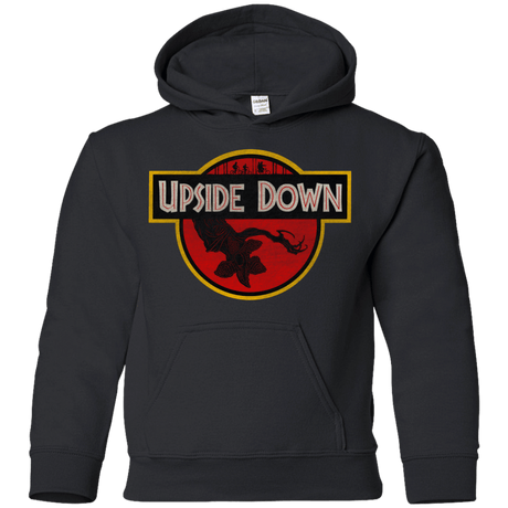 Sweatshirts Black / YS Upside Down Youth Hoodie