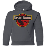 Sweatshirts Charcoal / YS Upside Down Youth Hoodie