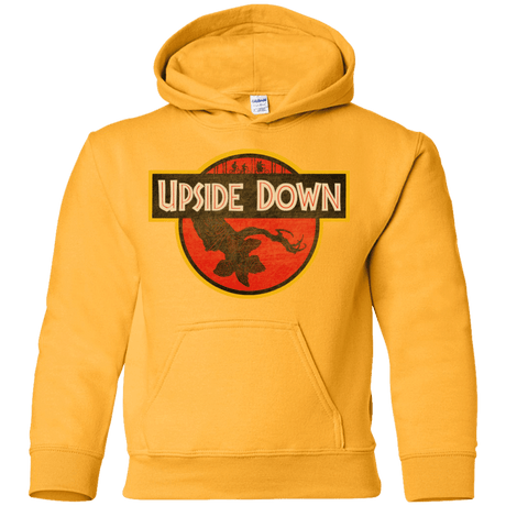 Sweatshirts Gold / YS Upside Down Youth Hoodie
