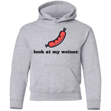 Sweatshirts Sport Grey / YS Weiner Youth Hoodie