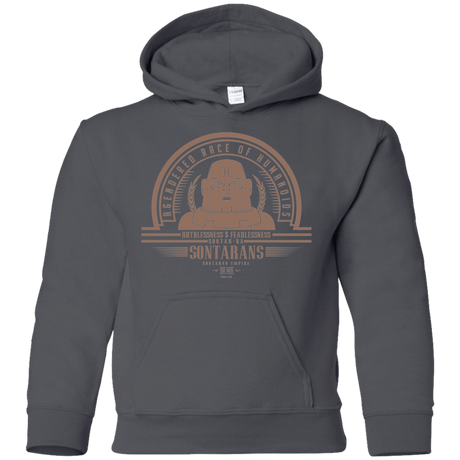 Sweatshirts Charcoal / YS Who Villains Sontarans Youth Hoodie