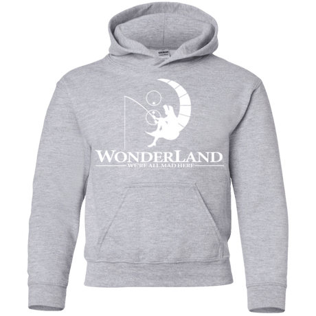 Sweatshirts Sport Grey / YS Wonderland Animation Youth Hoodie