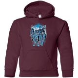 Sweatshirts Maroon / YS XV Youth Hoodie