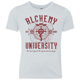 T-Shirts Heather White / YXS Alchemy University Youth Triblend T-Shirt