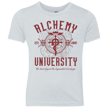 T-Shirts Heather White / YXS Alchemy University Youth Triblend T-Shirt