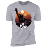 T-Shirts Heather Grey / YXS Back From The Pit Boys Premium T-Shirt