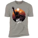 T-Shirts Light Grey / YXS Back From The Pit Boys Premium T-Shirt