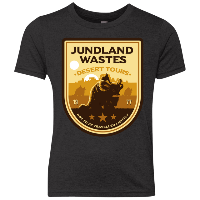 T-Shirts Vintage Black / YXS Desert Tours Youth Triblend T-Shirt