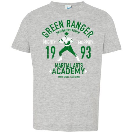 T-Shirts Heather / 2T Dragon Ranger (1) Toddler Premium T-Shirt