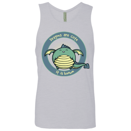 T-Shirts Heather Grey / Small Dragons are Cute Men's Premium Tank Top