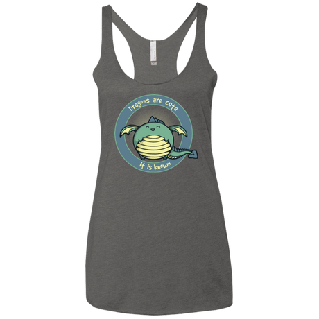 T-Shirts Premium Heather / X-Small Dragons are Cute Women's Triblend Racerback Tank