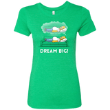 T-Shirts Envy / S Dream Big! Women's Triblend T-Shirt