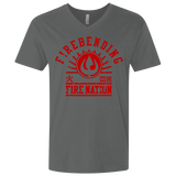 T-Shirts Heavy Metal / X-Small Fire Nation Men's Premium V-Neck