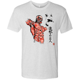 T-Shirts Heather White / Small Flying for Freedom Men's Triblend T-Shirt