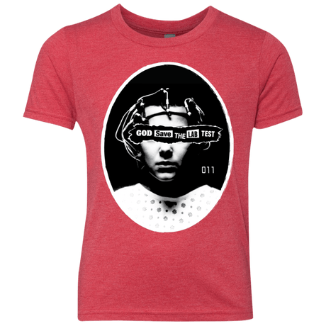 T-Shirts Vintage Red / YXS God Save The Lab Test Youth Triblend T-Shirt