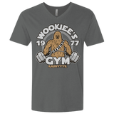 T-Shirts Heavy Metal / X-Small Kashyyyk Gym Men's Premium V-Neck