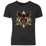 T-Shirts Vintage Black / YXS LEGEND Youth Triblend T-Shirt