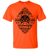 T-Shirts Orange / Small Lucha Knight T-Shirt