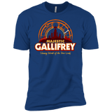 T-Shirts Royal / YXS Majestic Gallifrey Boys Premium T-Shirt