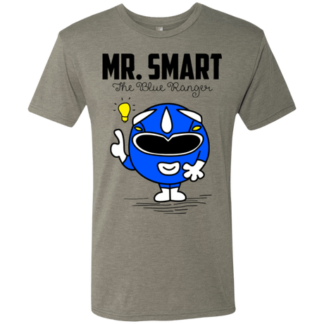 T-Shirts Venetian Grey / Small Mr Smart Men's Triblend T-Shirt