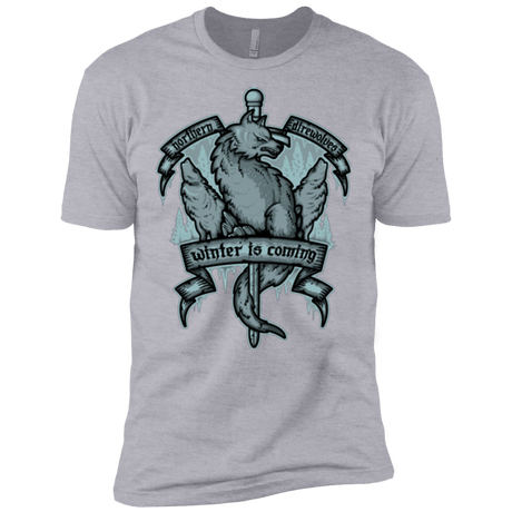 T-Shirts Heather Grey / X-Small Northern Direwolves Men's Premium T-Shirt