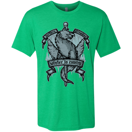 T-Shirts Envy / Small Northern Direwolves Men's Triblend T-Shirt