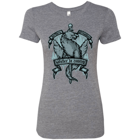 T-Shirts Premium Heather / Small Northern Direwolves Women's Triblend T-Shirt