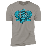 T-Shirts Light Grey / YXS NORTHERN ORACLE Boys Premium T-Shirt